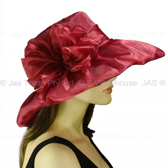 Spring Race Carnival Derby Day Church Wedding Women Ladies Organza Evening Hat