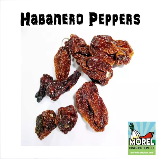 Dried Chili Habanero Pepper / WT: 1 OZ, 4 OZ, 8 OZ, 1 LB, 2 LBS, 5 LBS, 10 LBS