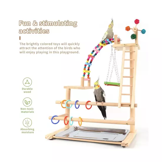 Bird Playground, Perch Stand Parrot Playstand Play Gym with 2 Perches Stand W...