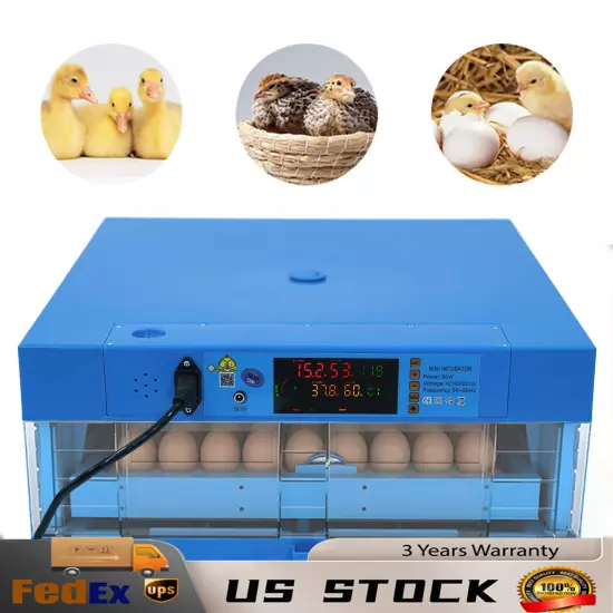 64 eggs 110V 12V chicken duck goose incubator Fully automatic dual power supply