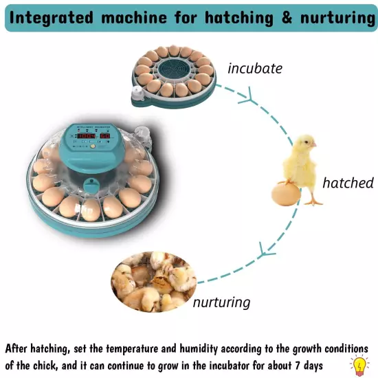 Egg Incubator, Intelligent Incubator for Chicken Eggs with Automatic Humidity...