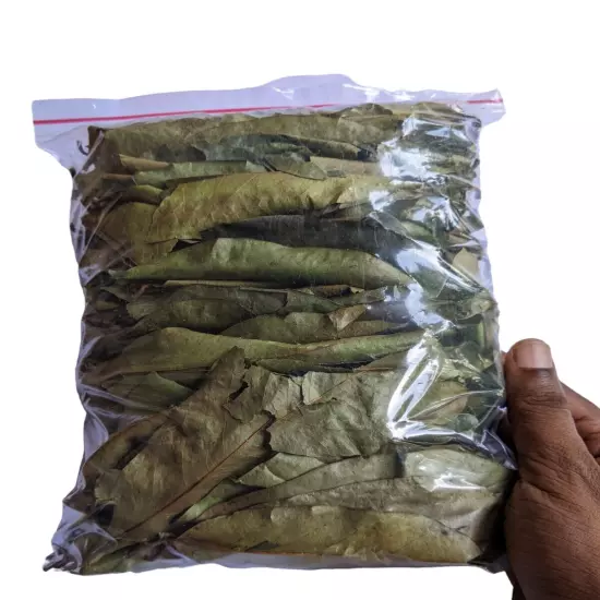 Premium Dried Soursop Leaves Hojas De Guanabana Graviola Leaf Bulk 50g 100% Pure