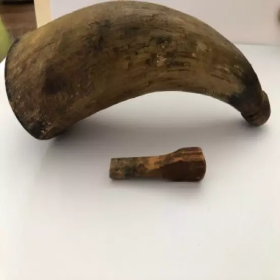 Collectable antique powder horn