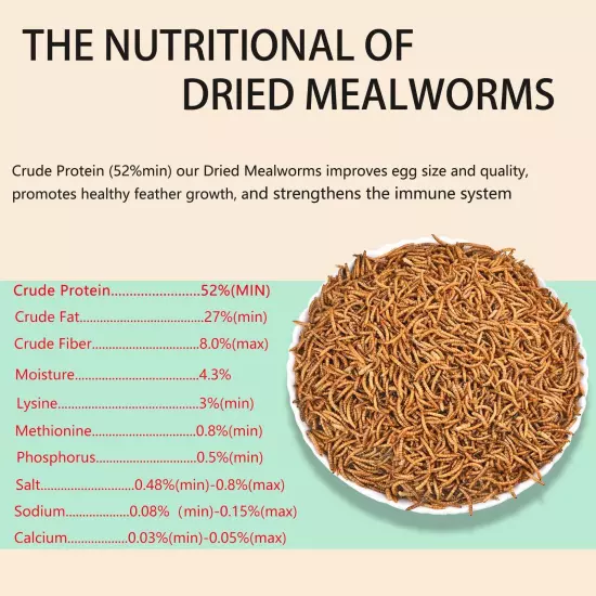 FCI GRUBS Dried Mealworms 9LB-High Protein Chicken Feed,More Protein,No Addit...