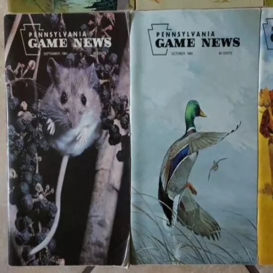 VG+++ Complete 1980 (Jan thru Dec) LOT OF 12 PENNSYLVANIA GAME COMMISSION NEWS 