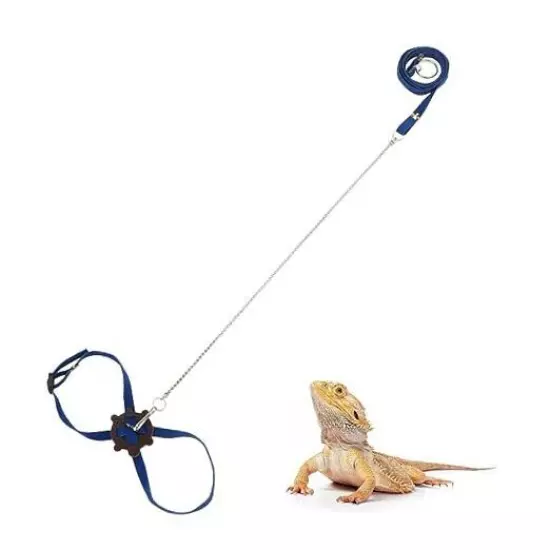 2 Pack Adjustable Reptile Harness and Leash for Lizard Gecko Bearded Blue