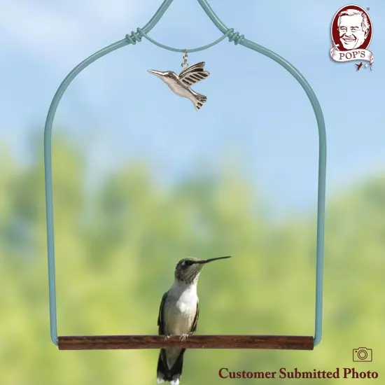 Charm Hummingbird Swing Teal - Perfect Bird Perch for Small Wild Birds, Hummingb