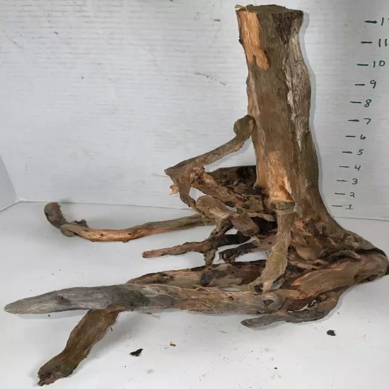 Driftwood Root Taxidermy Beach Lake Mountain Wedding Centerpiece Shower