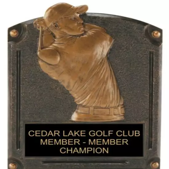 MALE GOLF 8” X 6” RESIN PLAQUE TROPHY AWARD FREE ENGRAVING FAST SHIP