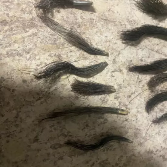 Lot Of 19 Small Turkey Beards! Sizes 2"-4 1/2" Taxidermy