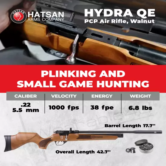 Hatsan Hydra .22 Cal QE PCP Air Rifle w/ Barrel&Arrows & Case & Targets& Pellets