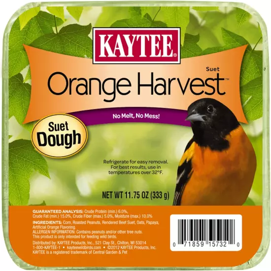 Orange Harvest Suet Dough