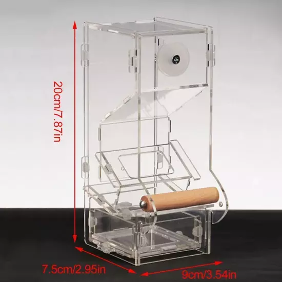 Bird Feeder Anti-scattering Food Box Parrot Automatic X7S3 Feeder S5L6