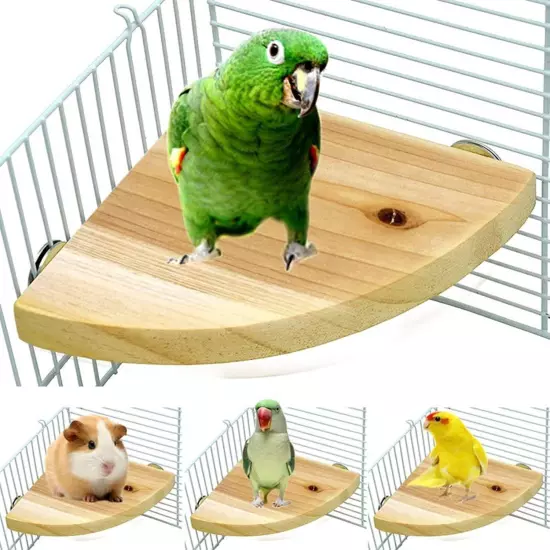 Bird Perch Platform Stand，Wood Parrot Stand black 