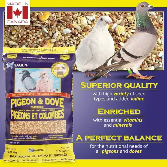 Hagen Pigeon & Dove Seed, Nutritionally 6 Pound (Pack of 1), Original version