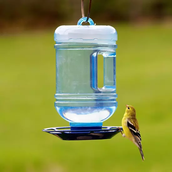 780 Outdoor Hanging Water Cooler Bird Waterer and Dispenser,Blue, 1.5 Qt Capacit