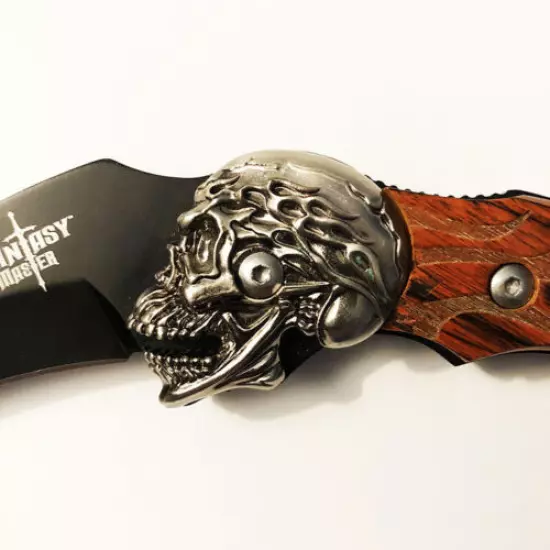 Collector's Stainless Steel Knife with Sheath - Curved Blade w. Skull - Karambit