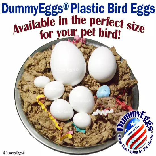 DummyEggs PLASTIC MED PARROT BIRD EGGS STOP LAYING! African Grey Amazon Eclectus