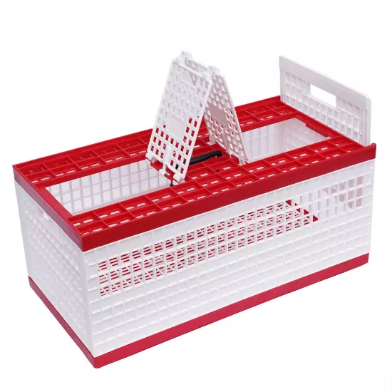 Racing Pigeon Carrier Box Bird Training Basket & 2 Side Doors 2 Top Doors Box US