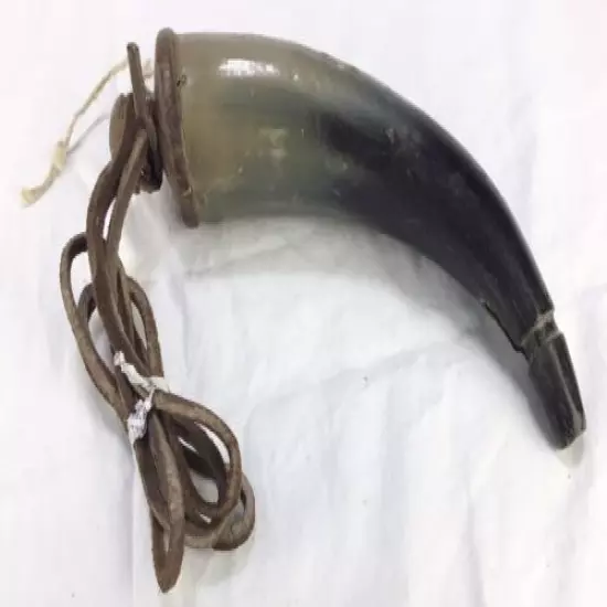 Powder Horn Bull Horn 