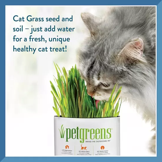 Bell Rock Growers Pet Greens Self-Grow Kit Organic Wheat Grass For all Pets