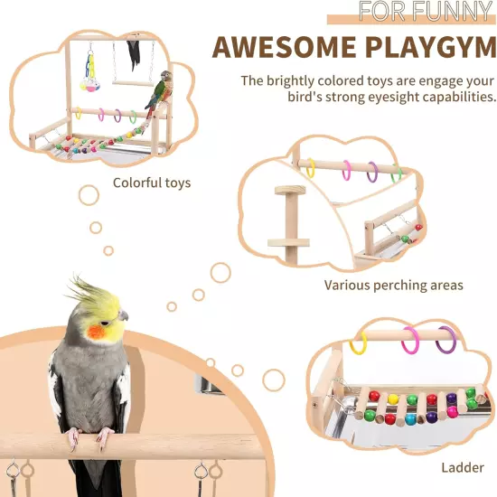 Wooden Bird Playstand-Sturdy Stable and Safe Parrot Play Gym for Parakeets Afric