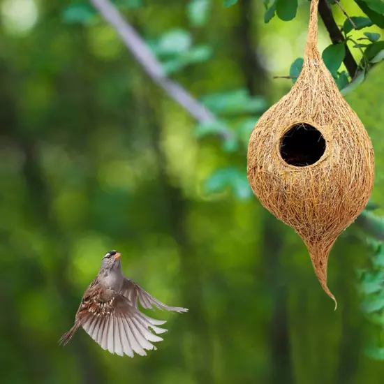 Natural Bird nest for Cages and breeding for All Medium,Small Birds Hanging Hook