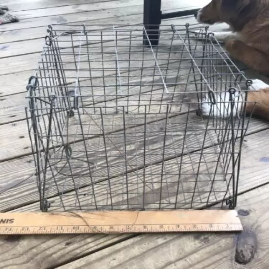 Vtg Wire Box Trap Small Game Trap Catch & Release