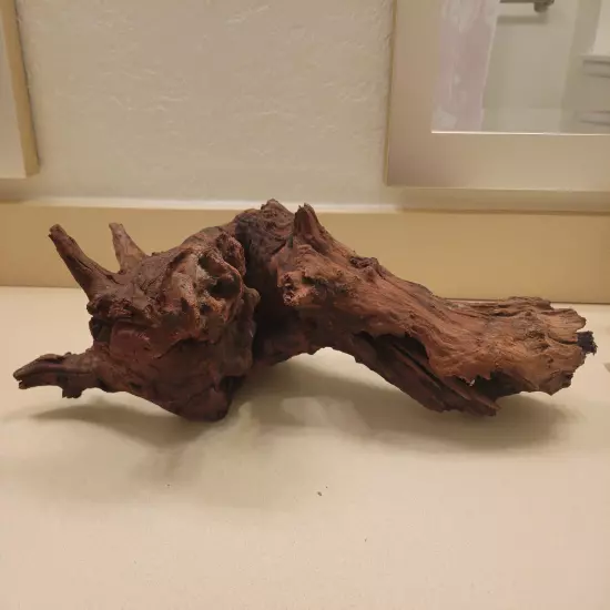 XL Pacific Driftwood 20.5" (Boil and/or secure with rocks to sink in aquarium)