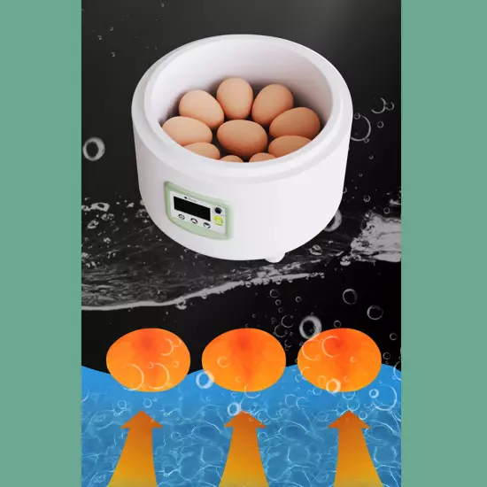 9 Eggs Incubator Automatic Farm Control Hatching Incubator for Quail Duck Bird