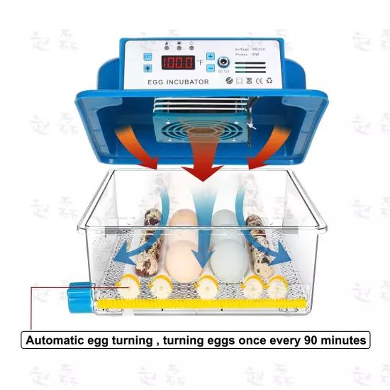 Egg Incubator Automatic Chicken Quail Chick Hatcher Incubators for Hatching Eggs