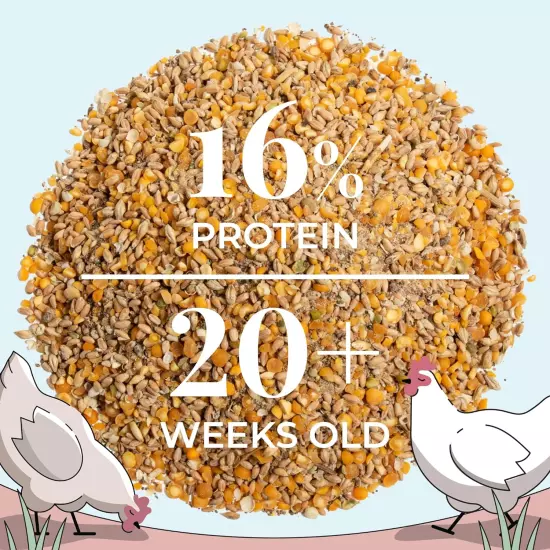 Organic Chicken Feed | Layer (20+ Week) Chickens | 2 Lbs. | Organic, Non-Gmo, Co