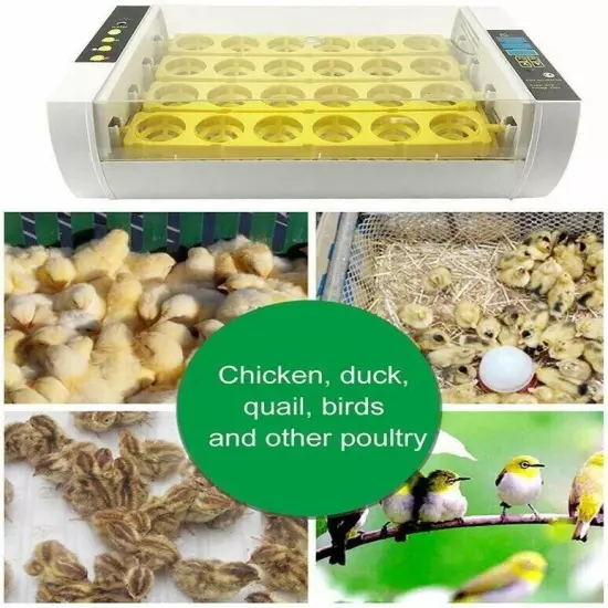 24 Eggs Dual Power Supply Turning Incubators Digital Poultry Chicken Hatcher