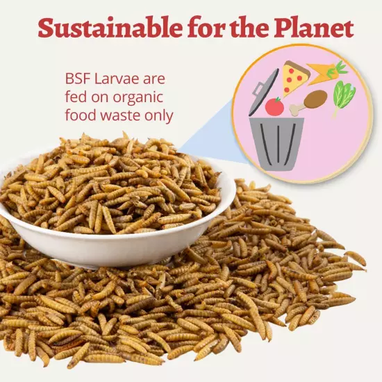 5.5LBS Dried BSF Larvae Superior to Dried Mealworm, 85x More Calcium Than Mea...