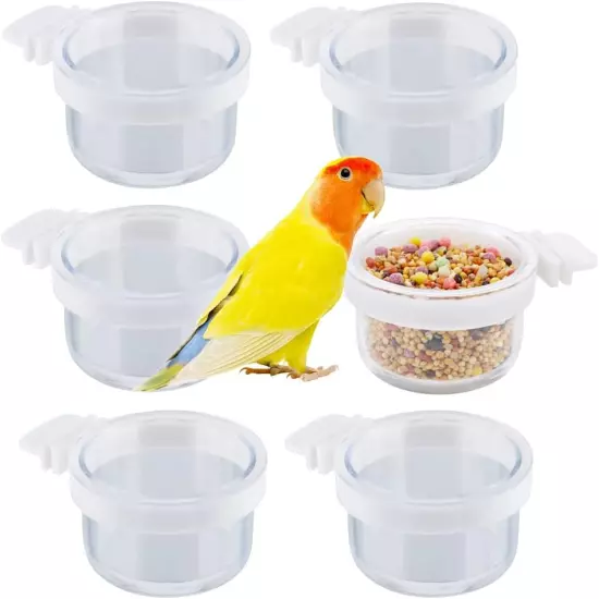 6 Pack Detachable Transparent Bowl Plastic Food Cup Convenient Hanging Seed Wate