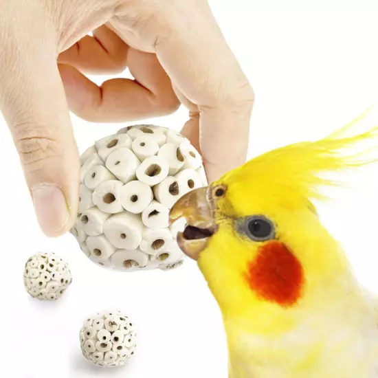 Sola Atta Foraging Balls, 2”, White Soft Shred Parrot Chews, Bird Chewing, 3 Pcs