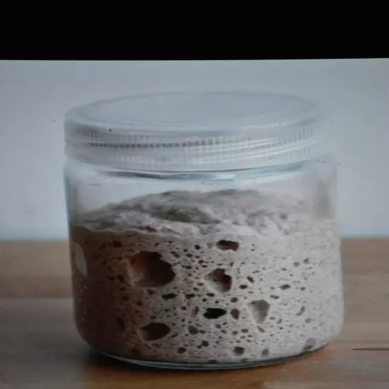 sourdough starter yeast from the "WHARF" in SAN FRANCISCO 145 YR OLD W/recipes 