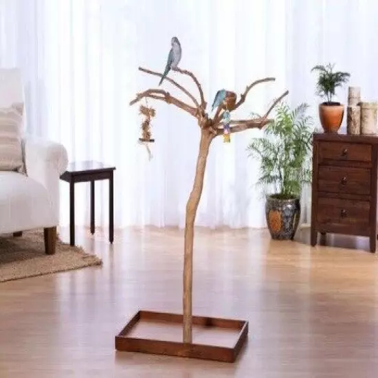 4' Coffeewood Parrot Tree Stand bird perch PLAY STAND GYM