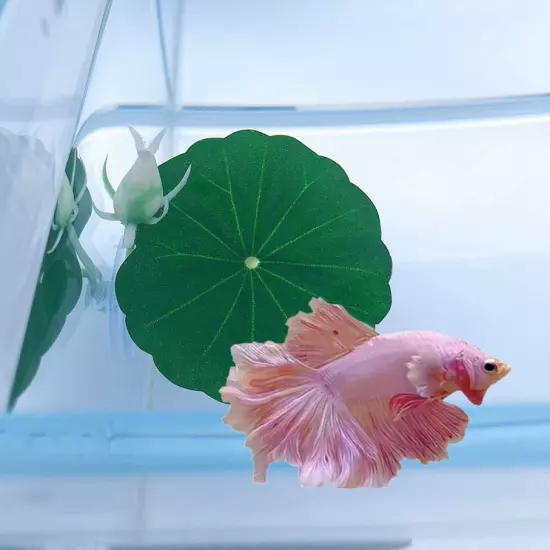 Betta Bed Hammock Betta Fish Lotus style Pad Artificial Fish Tank Rest New