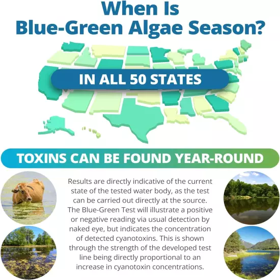 5Strands Blue Green Algae Test Kit, ﻿At Home Lake & Pond Water Testing, Water Sa