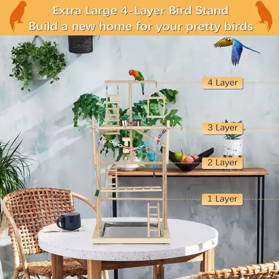 Pet Parrot Playstand Parrots Bird Playground Bird Play Stand Wood Perch Gym P...