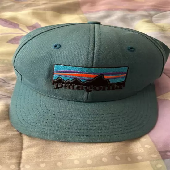 patagonia hat trucker