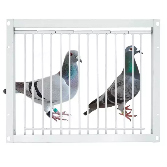 Junniu 11.8in/30cm Pigeon Cage Door Way Entrance Door Bird T Trap Birdcage Ir