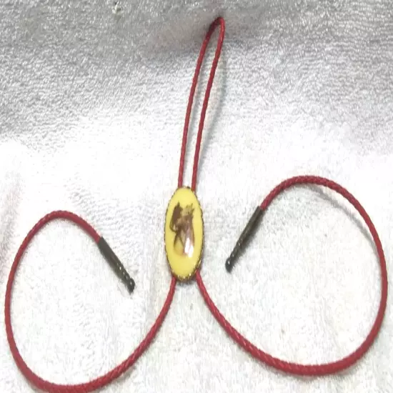 Triple Horse Pony Western Stone Gold Trim Bolo Tie Red Ties Great Condition