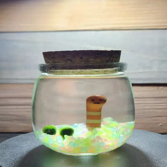 CUTE GLOW, Live Marimo Moss Balls, Unique Gift, Ecosphere, Desktop Aquarium, DIY