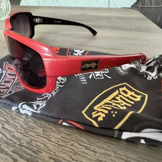 NEW Black Flys Sunglasses FLY HOPPER SHINY RED BLACK SMOKE LENS LIMITED EDITION