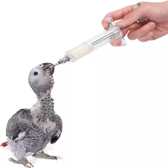 2 Sets Hand Feeding Syringe for Birds,Feeding Tubes Used for Pet Baby Bird Parro