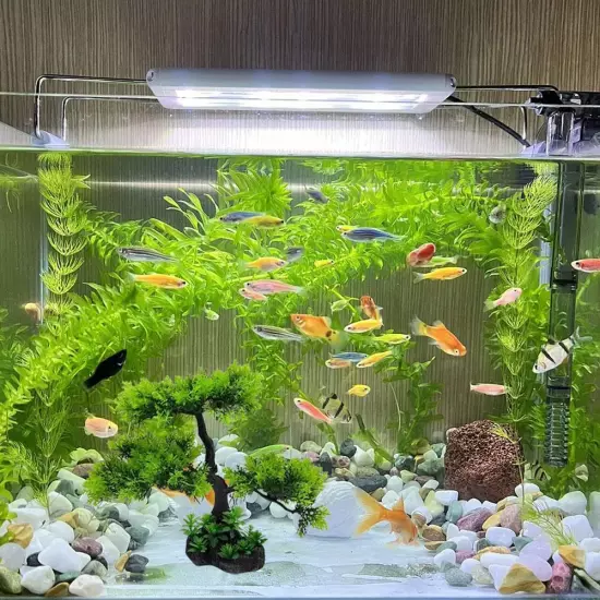 Fish Tank Simulation Water Plan Fish Tank Decoration, Sand Table Deco