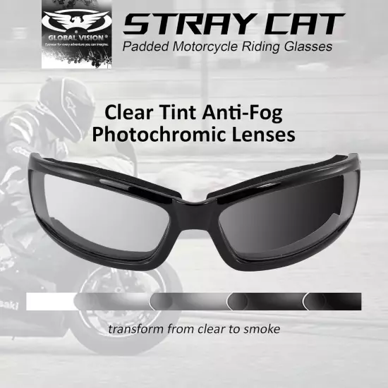 Transition Stray Cat 24 Motorcycle Sunglasses with Clear to Smoke Anti-Fog Photo