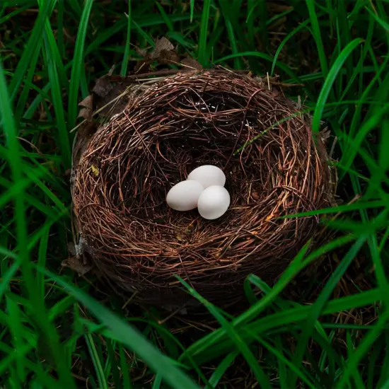 6/20CM Woven Rattan Bird's Nest Crafts Handmade Dry Natural Bird Nest for-Garden